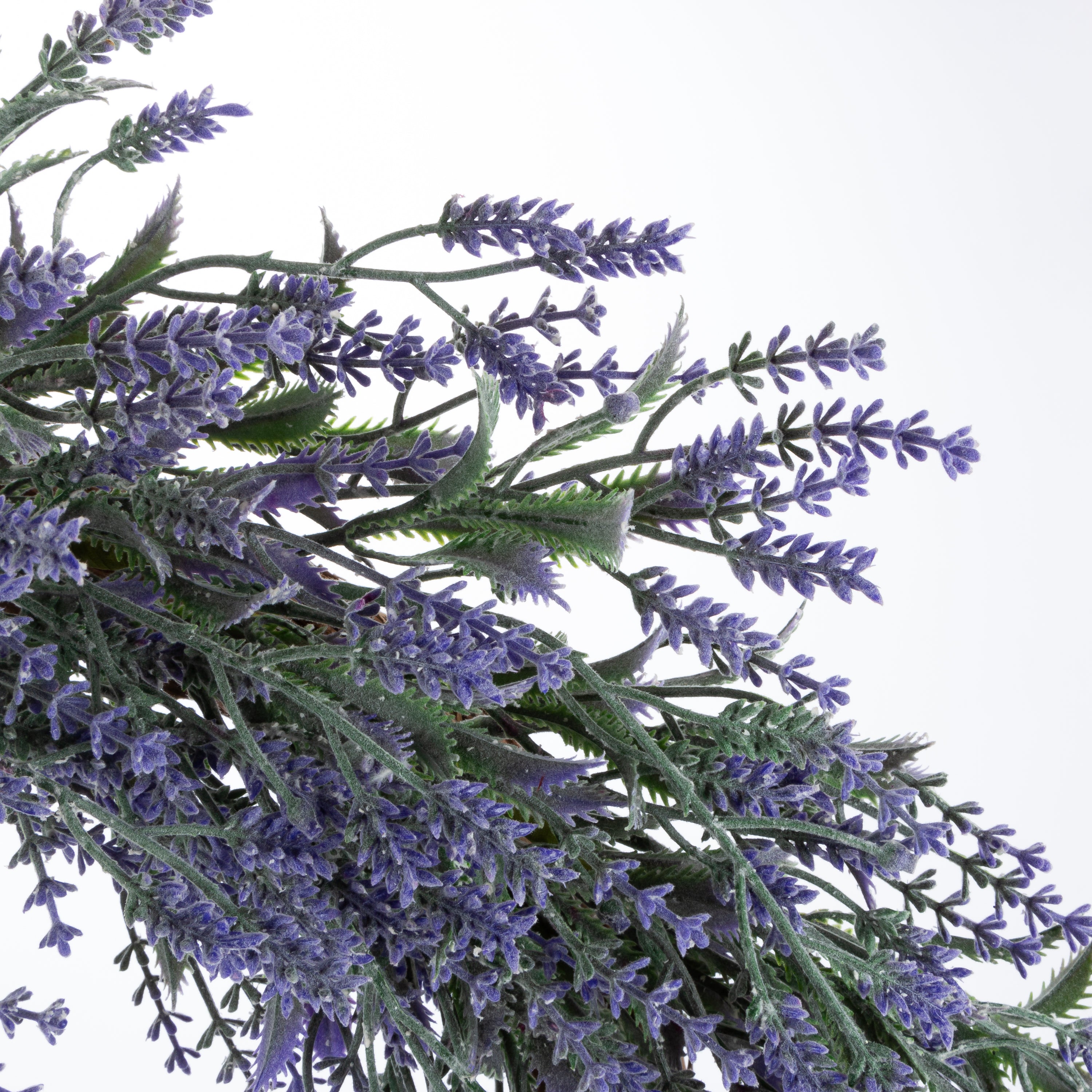 24 in Lavender Wreath